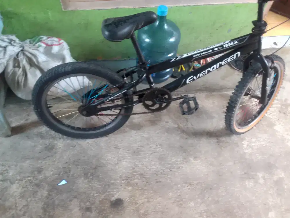 Sepeda evergreen uk 20