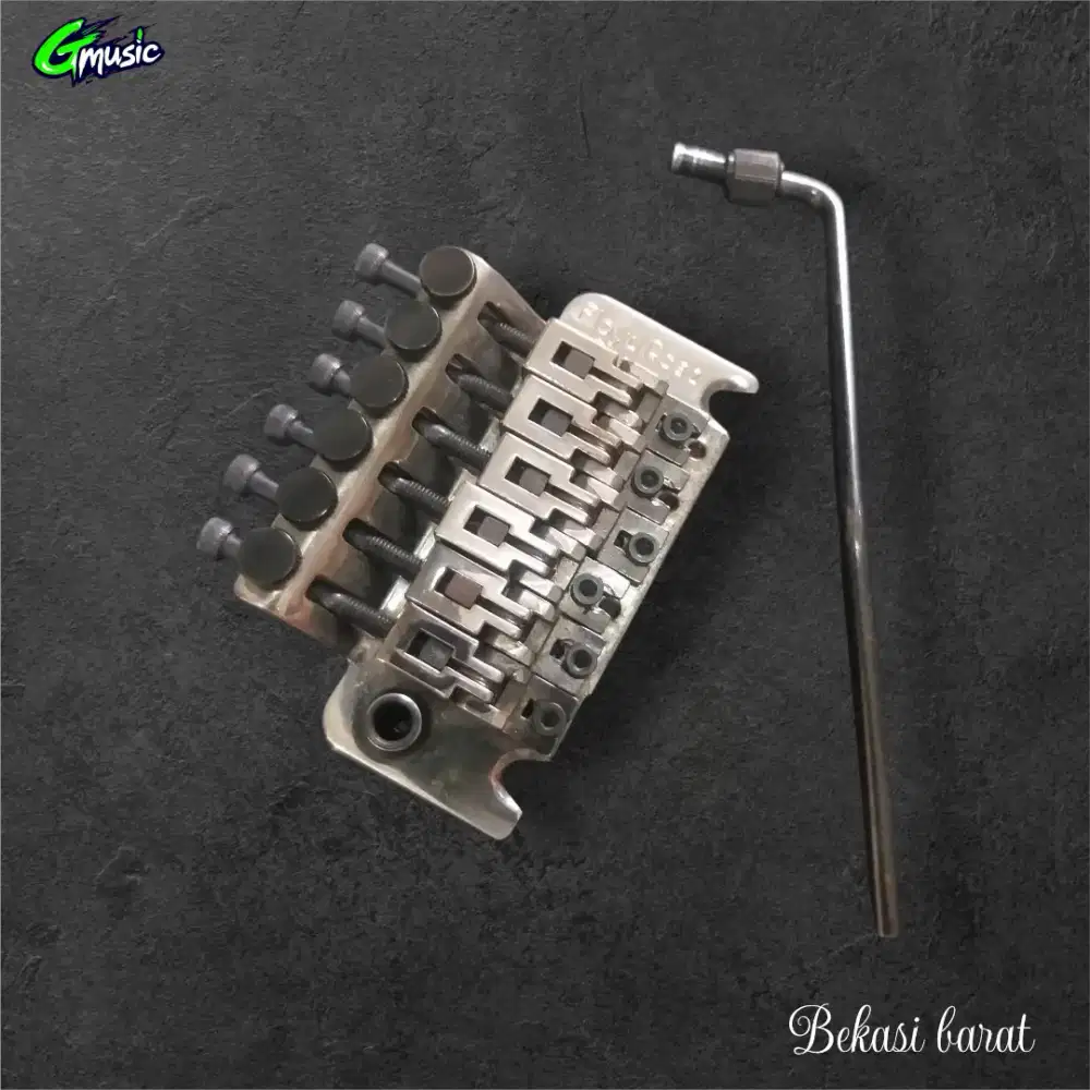 Tremolo Floydrose Special