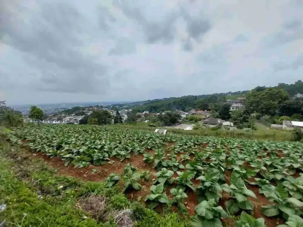 paling murah tanah siap bangun cimeunyan padasuka cimenyan