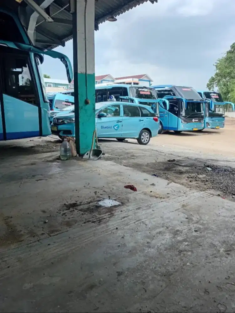 Di butuhkan driver secepatnya