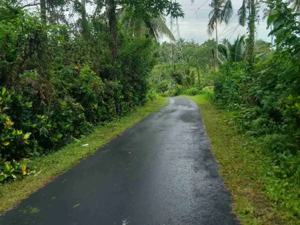 DIJUAL  TANAH  COCOK UNTUK INVESTASI DEKAT PANTAI DI PENEBEL IPP
