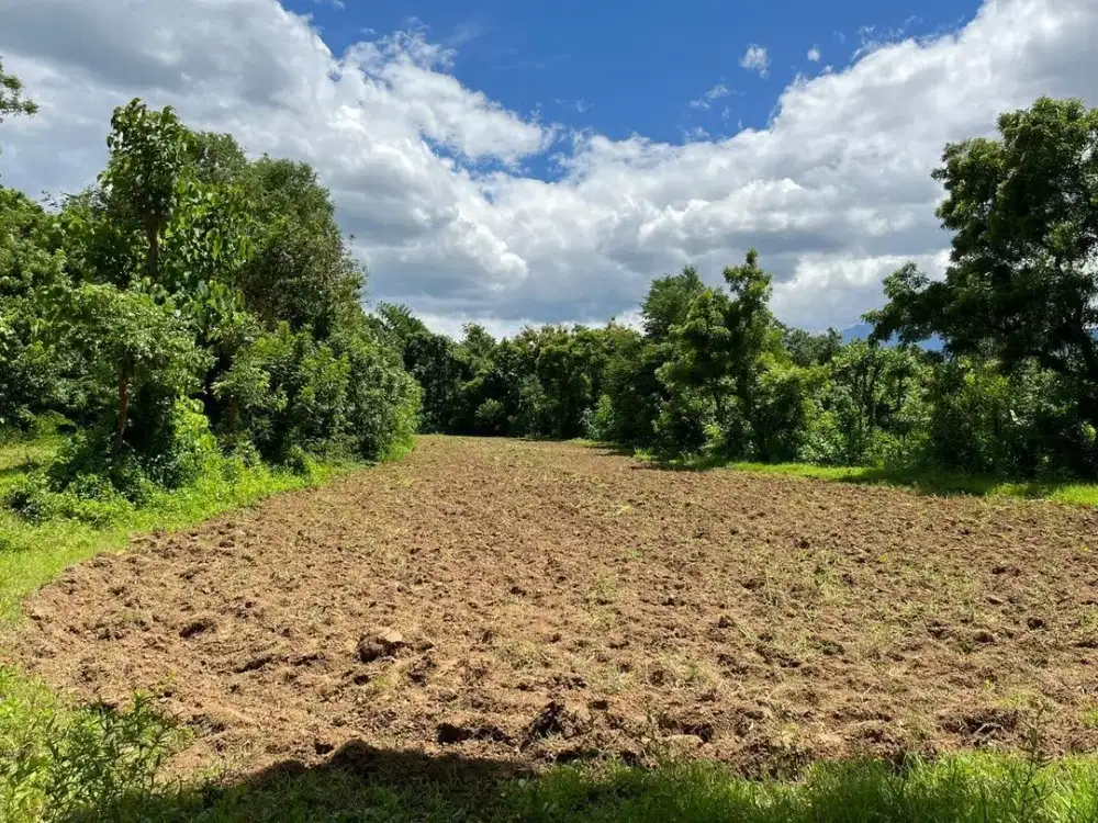 DIJUAL TANAH LUAS 92500 M2 – BULELENG, BALI