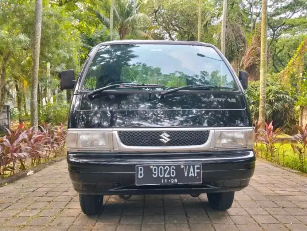 Carry futura pickup 2016