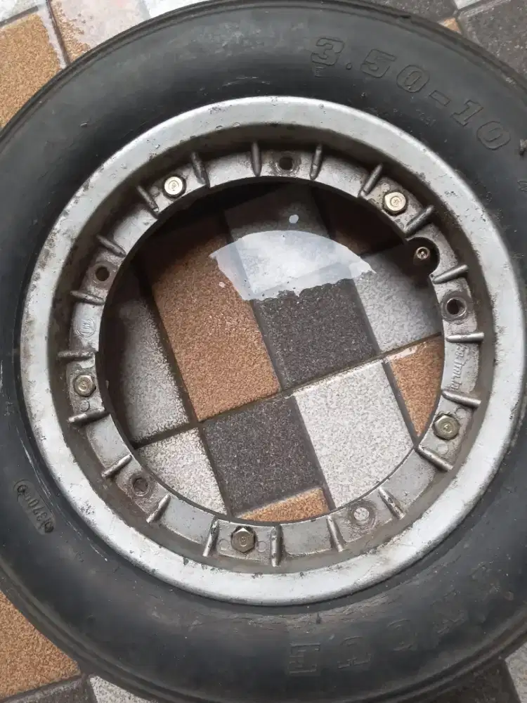 Pelek vespa fa fitalia