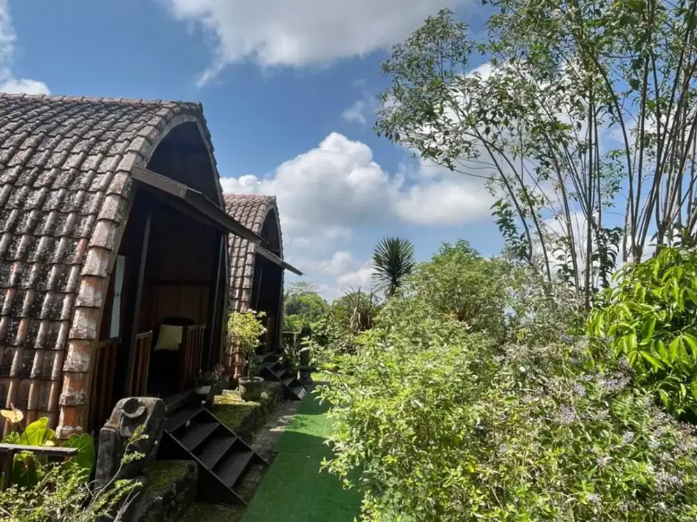 Disewakan 30 tahun Bungalow Plaga, Petang – Bali, dekat banyak tempat wisata & RSUD Suwiti