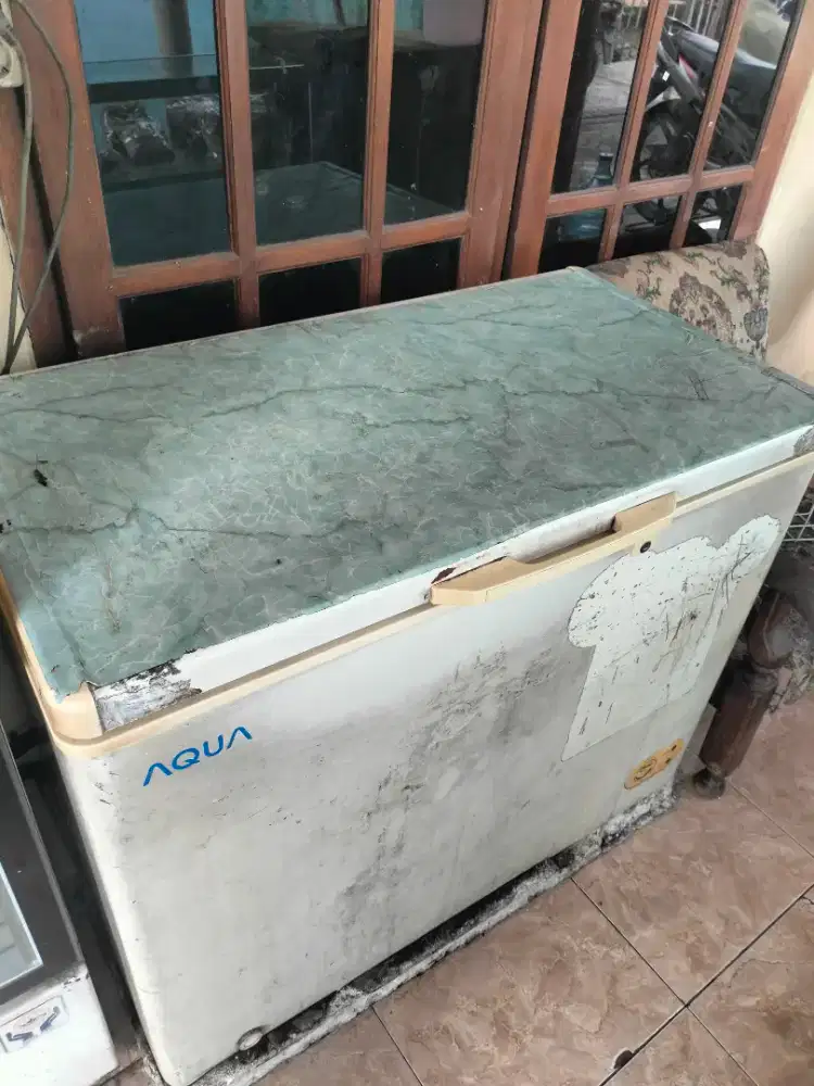 Freezer AQUA 300L