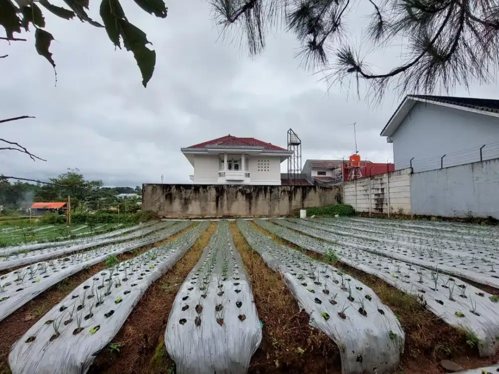 Dijual Tanah Kavling Lokasi Sejuk di Graha Puspa Lembang Bandung