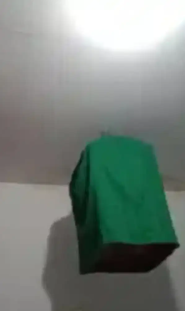 Burung green mapan jinak gacor