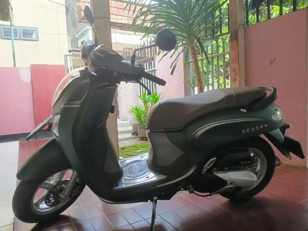 Scoopy stylis 2025 beli cash bulan 6
