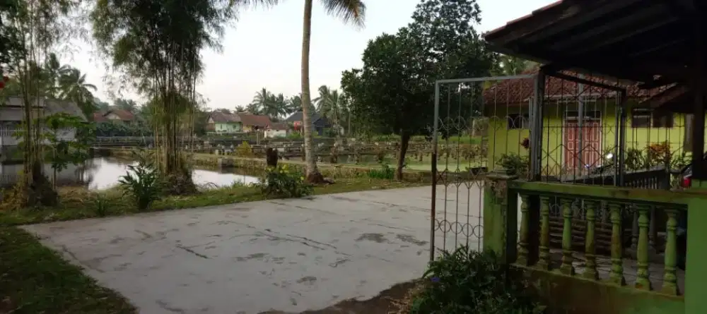 Dijual Unit agribisnis terpadu:Peternakan Ayam, Balong & Hunian