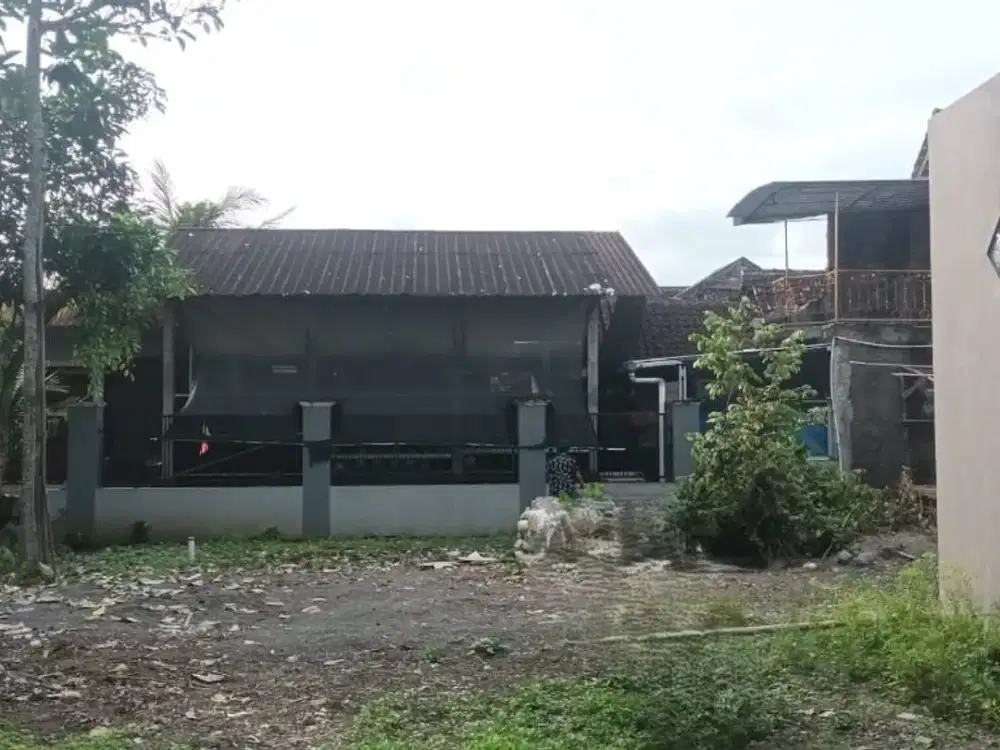 Tanah Murah Dekat Wisata Prambanan, SHM Pekarangan Siap Balik Nama