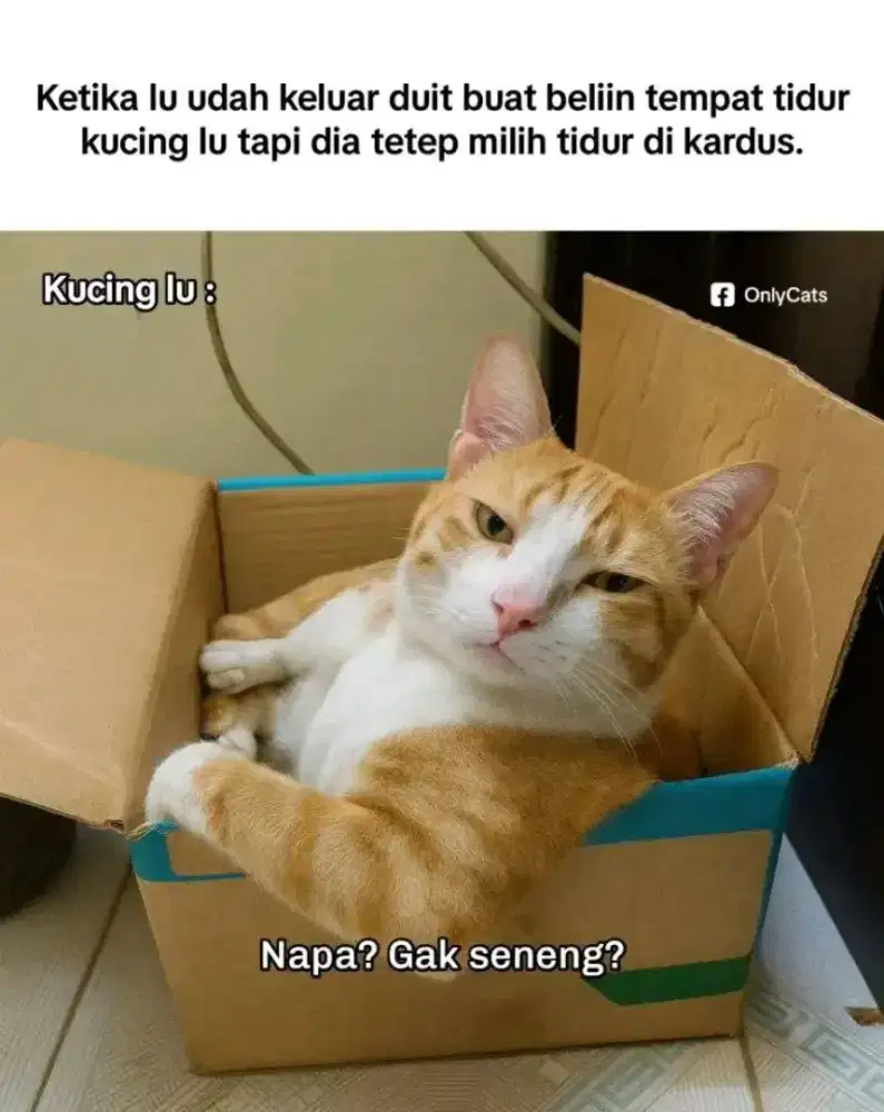 Cari pekerjaan apa saja