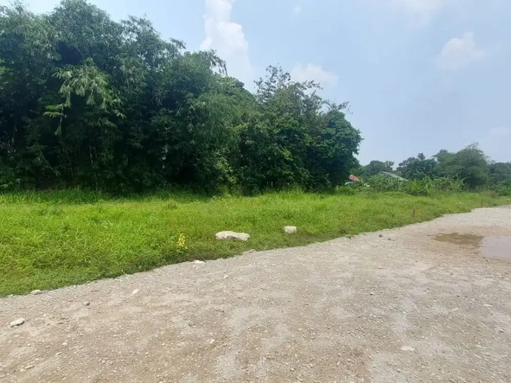 Mulai 1,4 Juta Permeter Kavling SHM Cisauk, Dekat Stasiun Jatake & Tol Legok