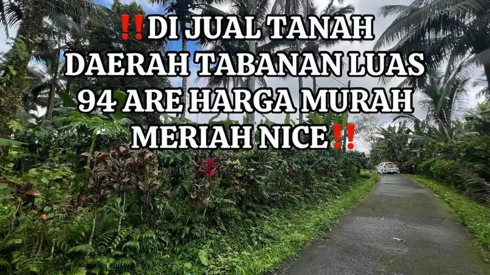 Di jual tanah luas 94 are harga 25 jt/are di tabanan bali