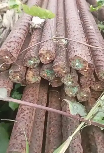 Besi Ulir 22 MM panjang 12 meter