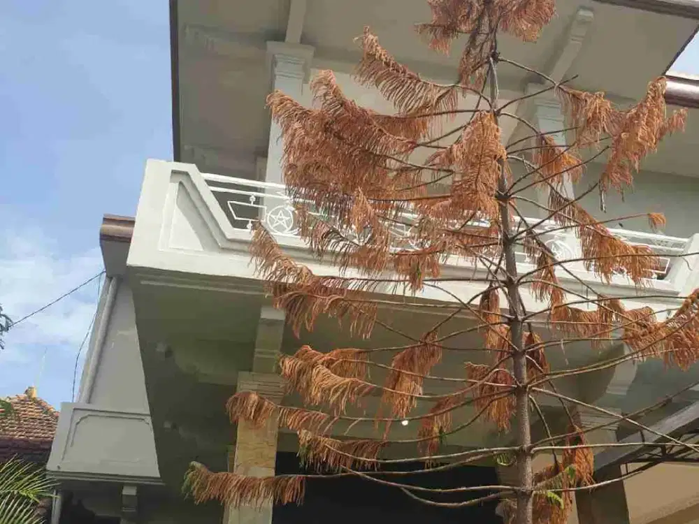 DIJUAL  RUMAH POSISI HOOK  2 LANTAI DI JIMBARAN MNK