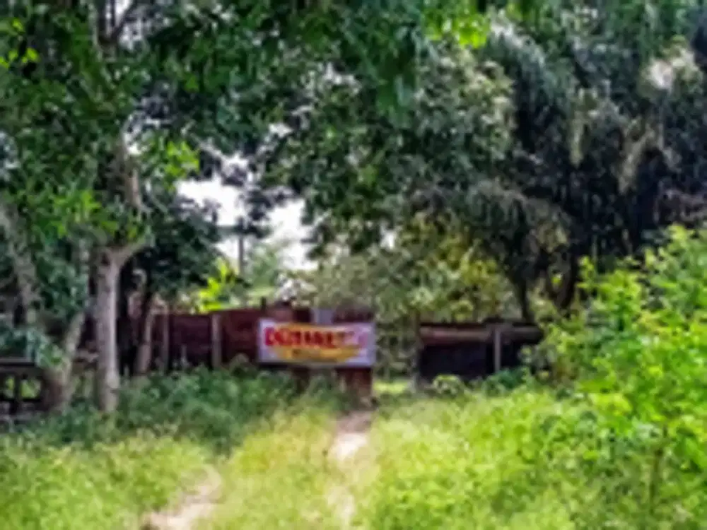 DIJUAL 5 BIDANG TANAH DENGAN TOTAL LUAS 64721 M2 - BANYUASIN