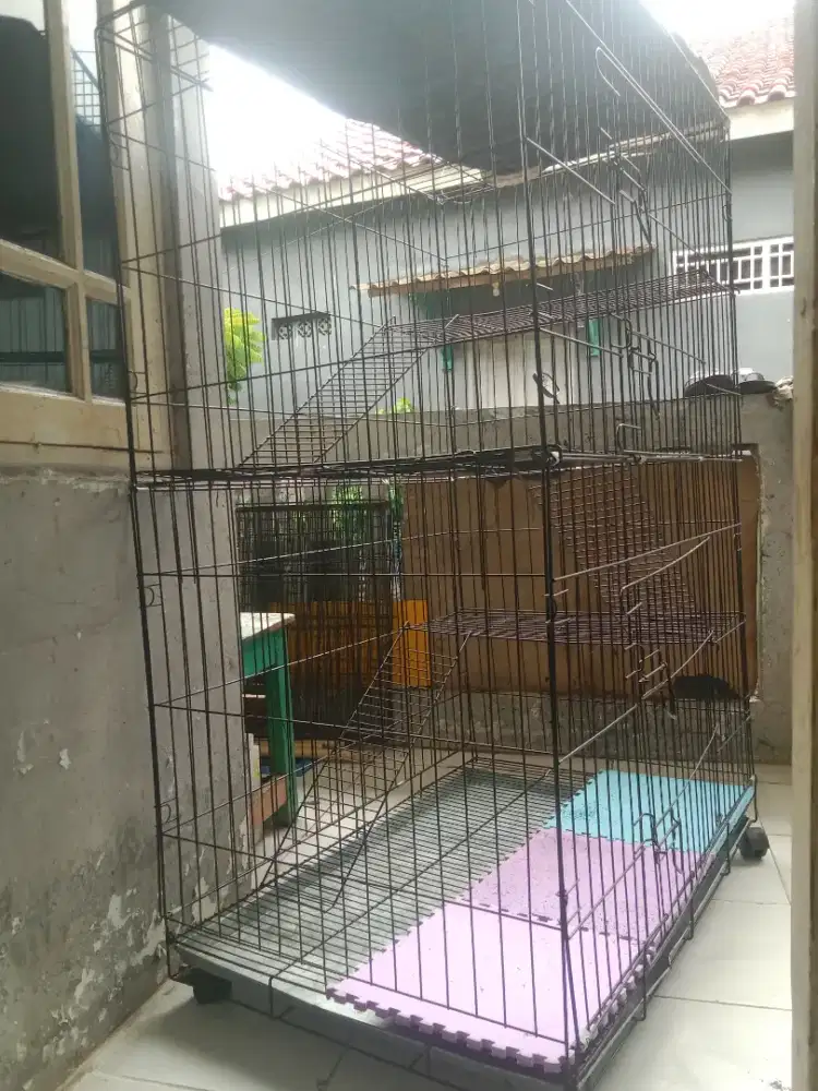 Kandang kucing tingkat empat jumbo