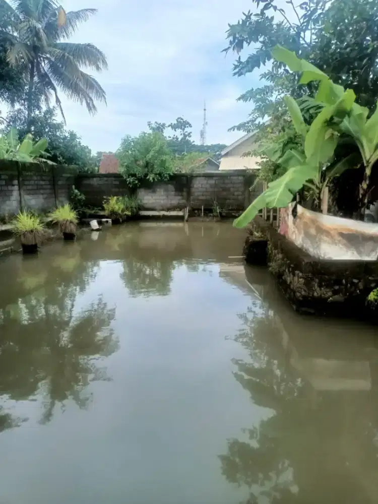 Dijual Tanah / Kolam ikan di Kota Tasikmalaya