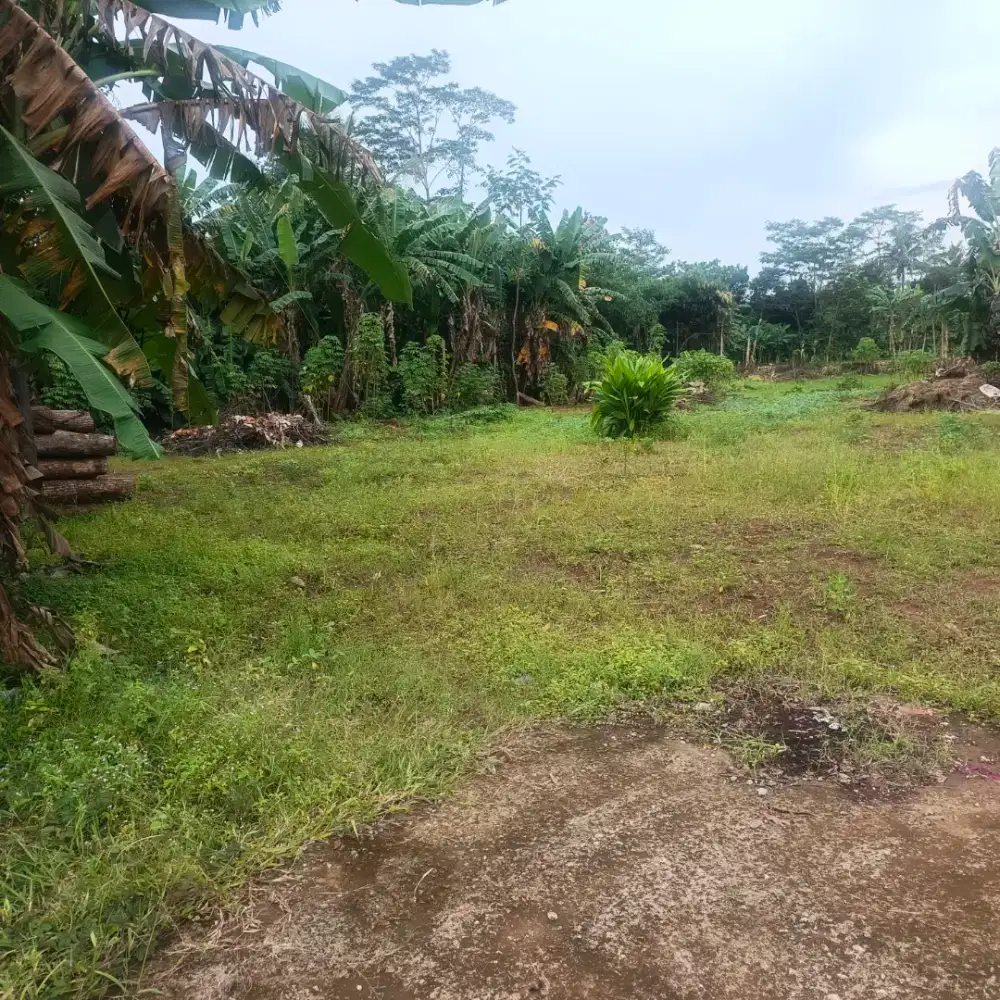 Tanah strategis pinggir jln raya