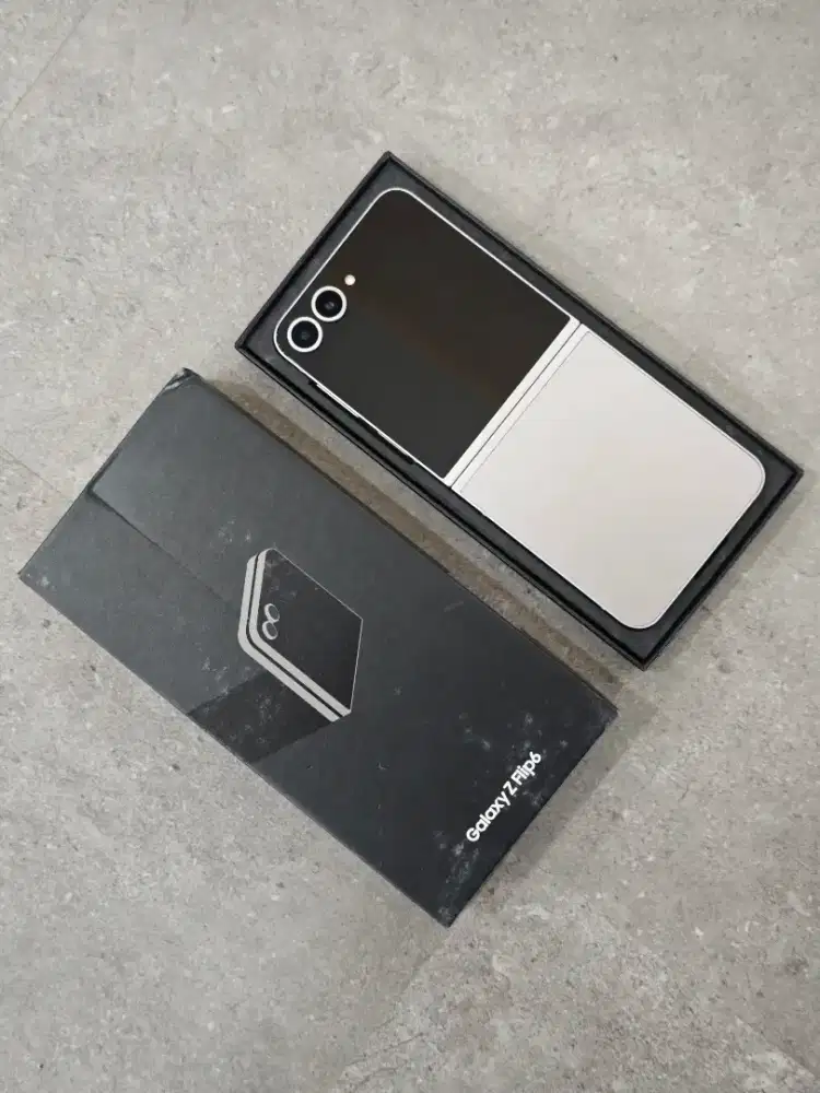 Samsung Flip 6 12.256 Silver Shadow