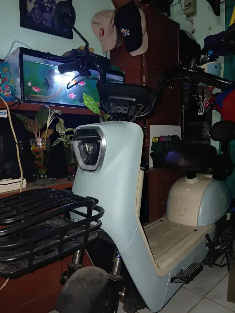 Sepeda Listrik merk Exotic