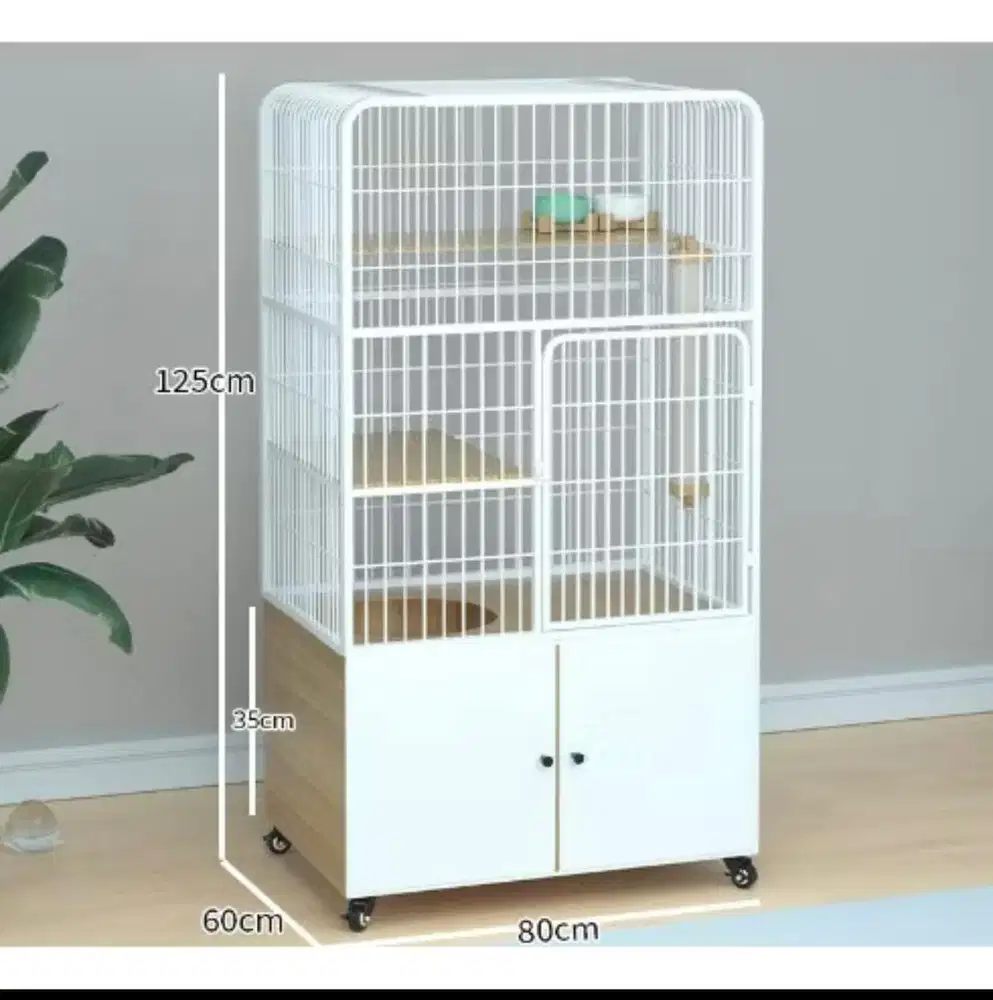 Kandag kucing masih bagus