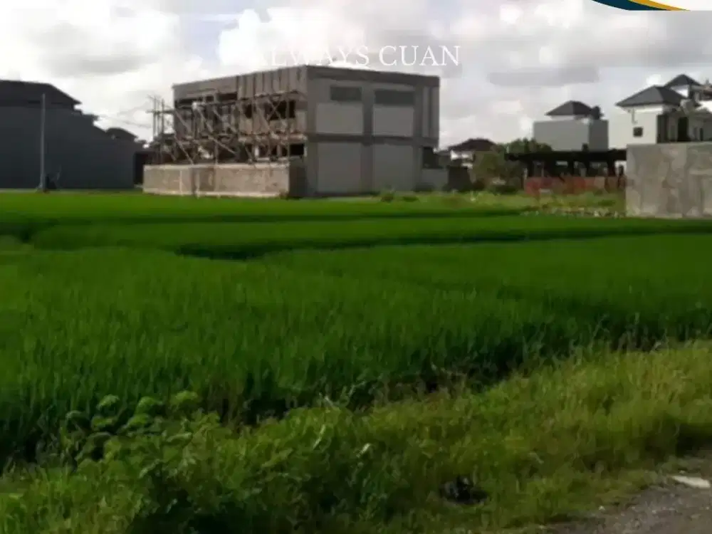 Tanah Datar Area Denpasar Barat Disewakan