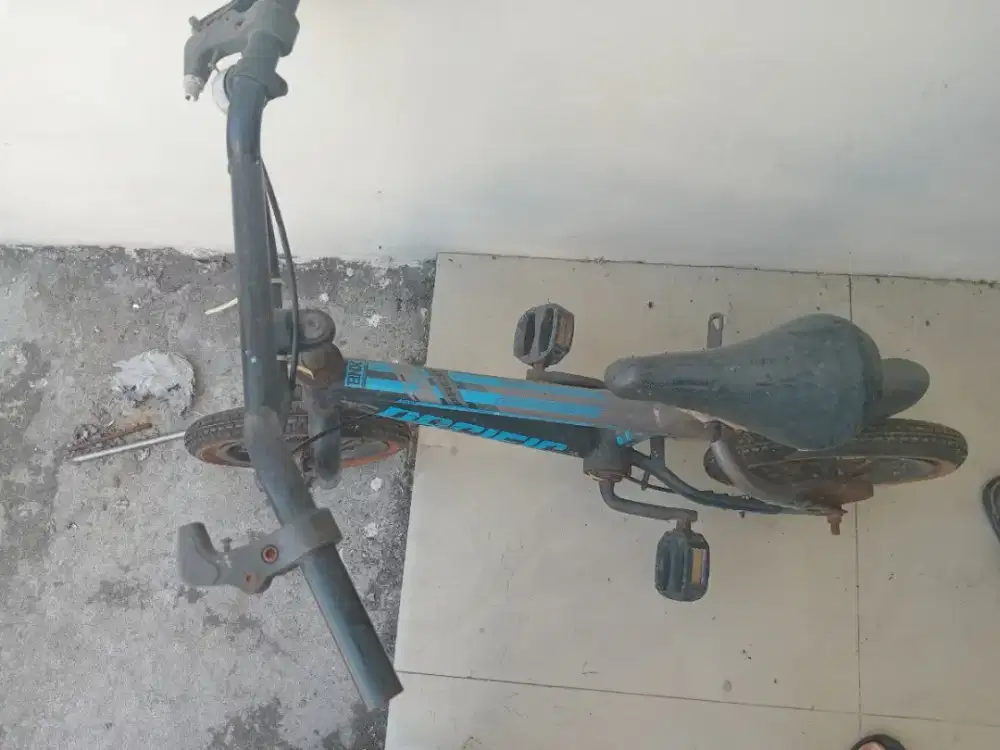 Sepeda anak cowok bmx Pasific biru bekas
