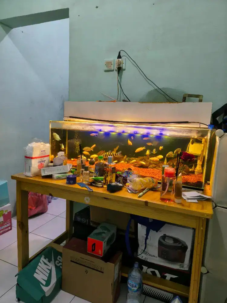 Aquarium 1000 x 30 plus talang air plus pasir dan semua isinya