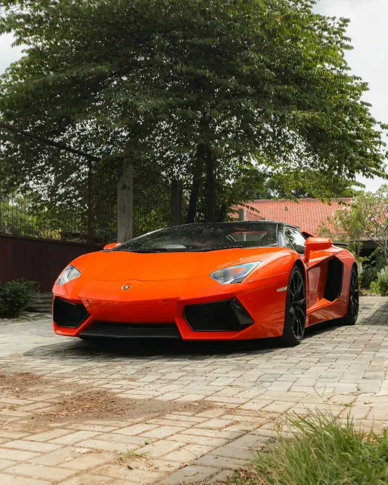 Lamborghini Aventador LP700-4 Roadster 2013