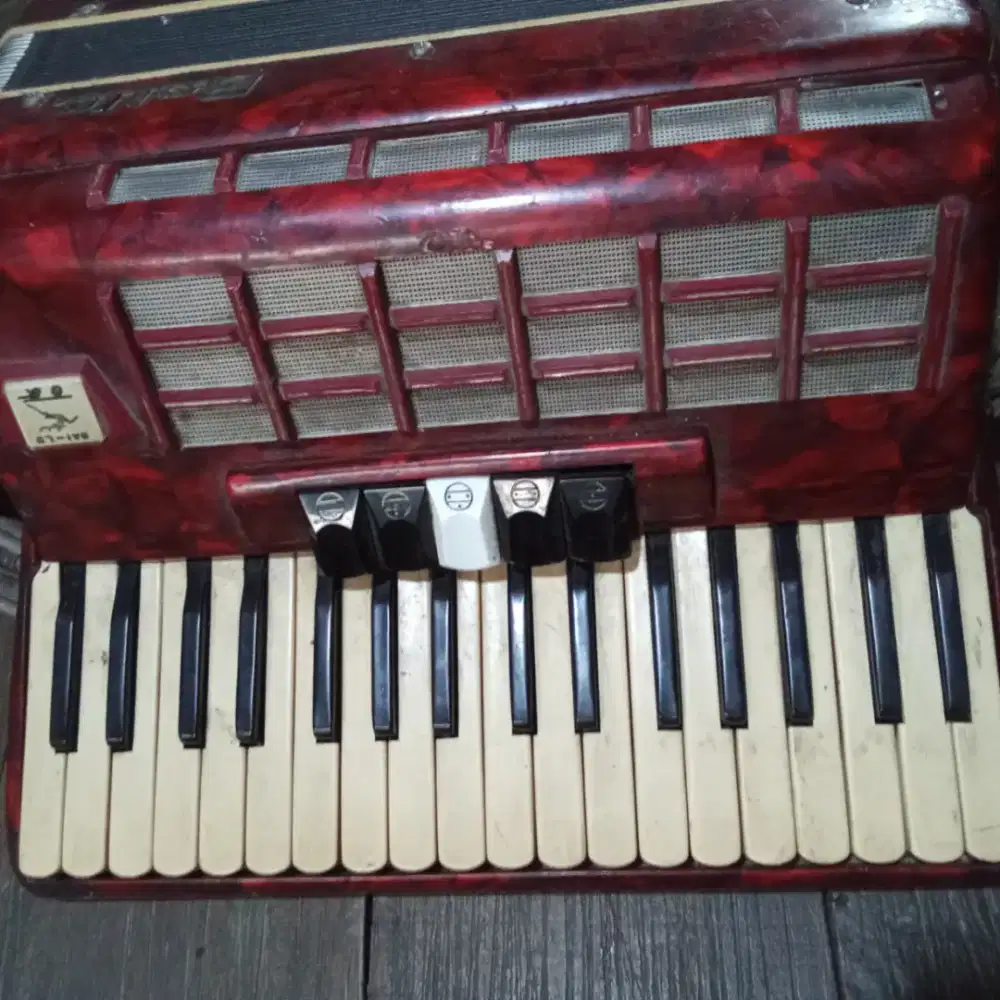 Akordion balle vintage