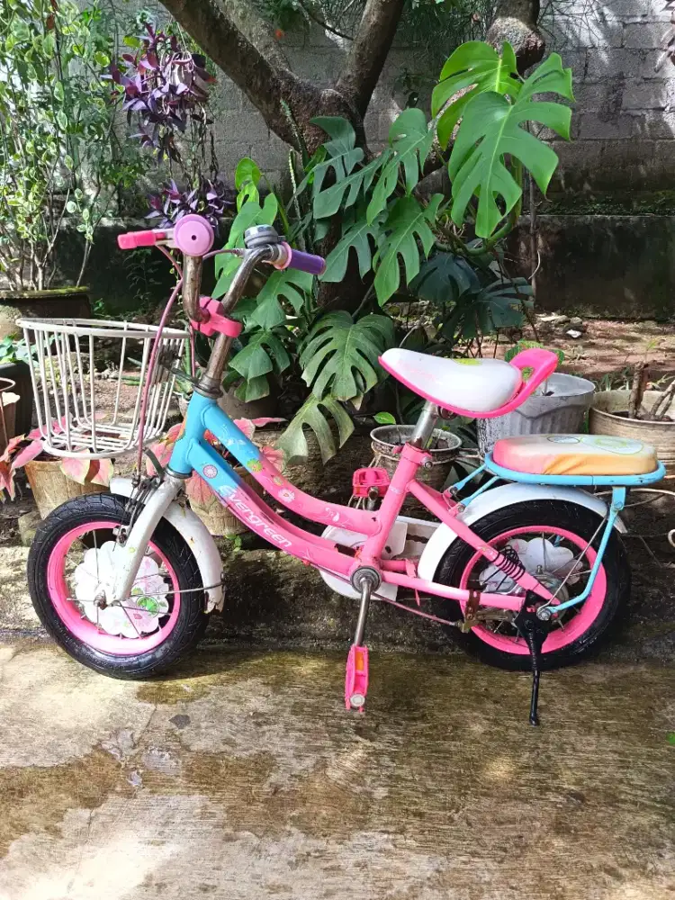 Sepeda anak Evergreen