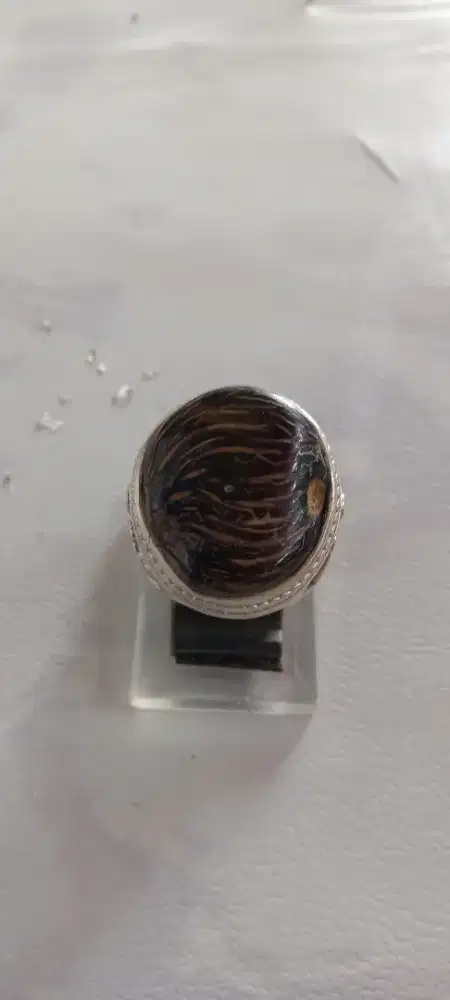 Batu cincin fosil gali kelor