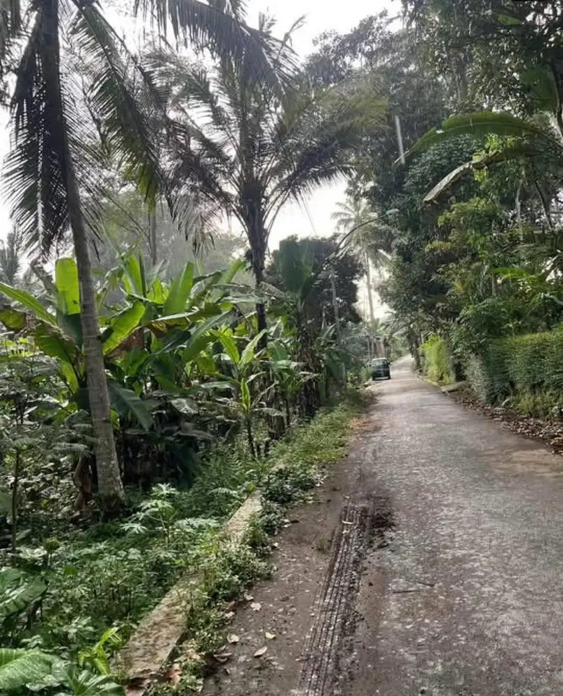 Dijual Tanah Milik Sendiri