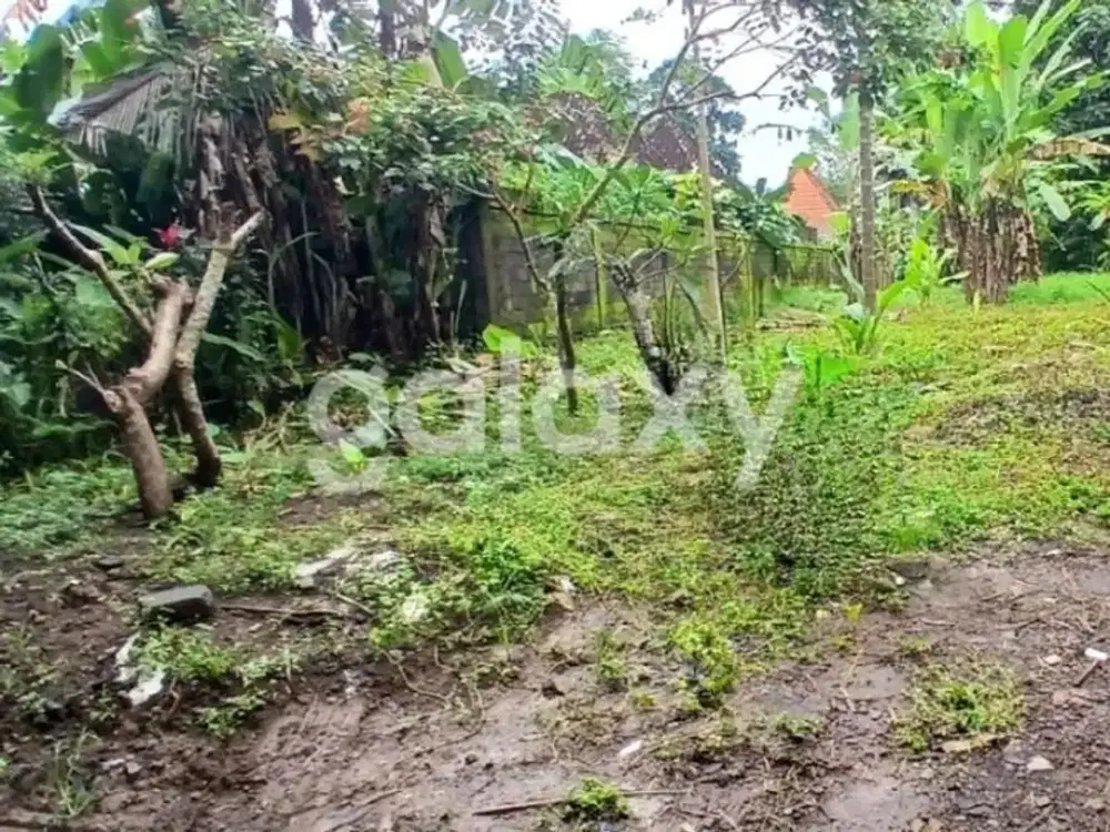 TANAH DI SAYANG UBUD GIANYAR, BALI