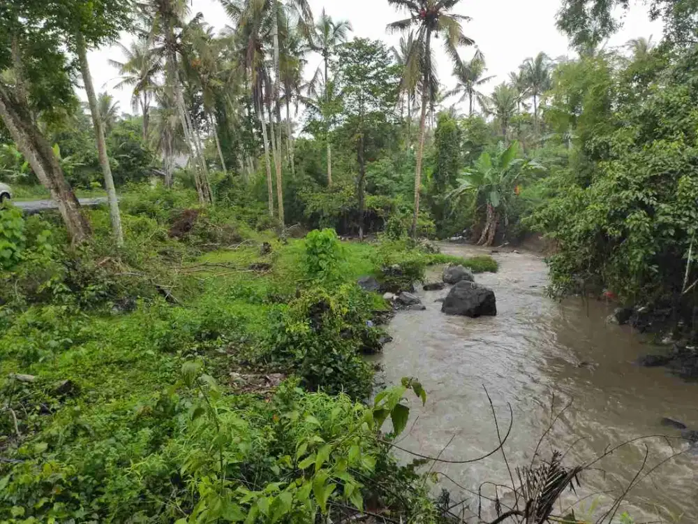 Tanah Strategis Luas Lingkungan Asri di Antap Tabanan