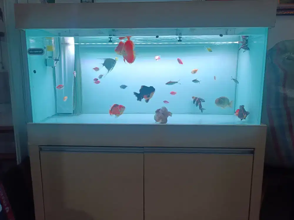 Aquarium Cabinet Akuarium Kabinet