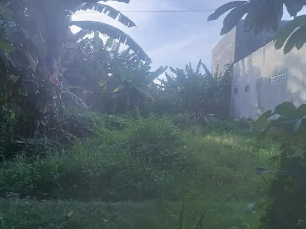 DIJUAL CEPAT! TANAH BANYUWANGI KOTA