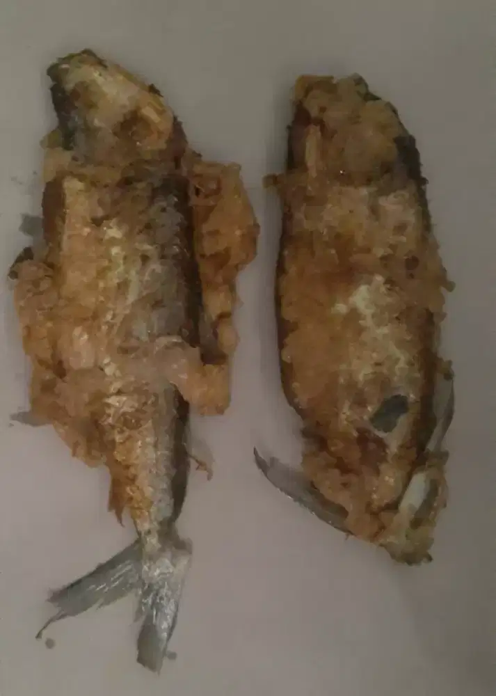 Cari penitipan otak2 bandeng