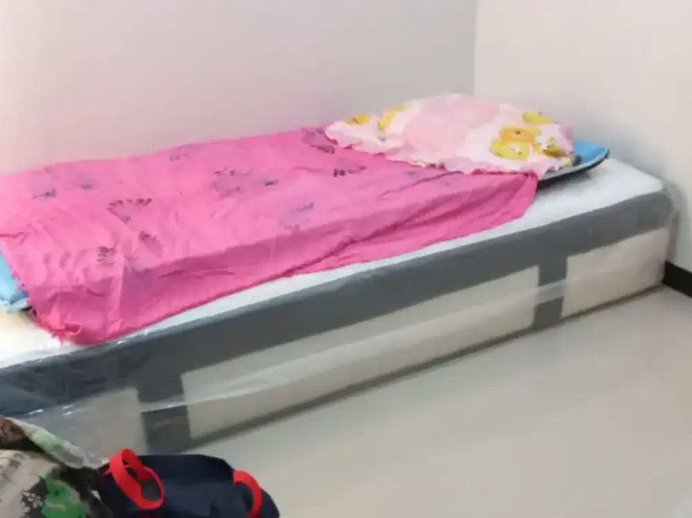 Spring bed orthopedic