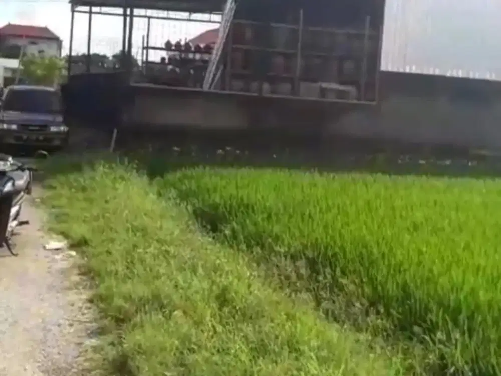 FOIR RENT TANAH MARLBORO