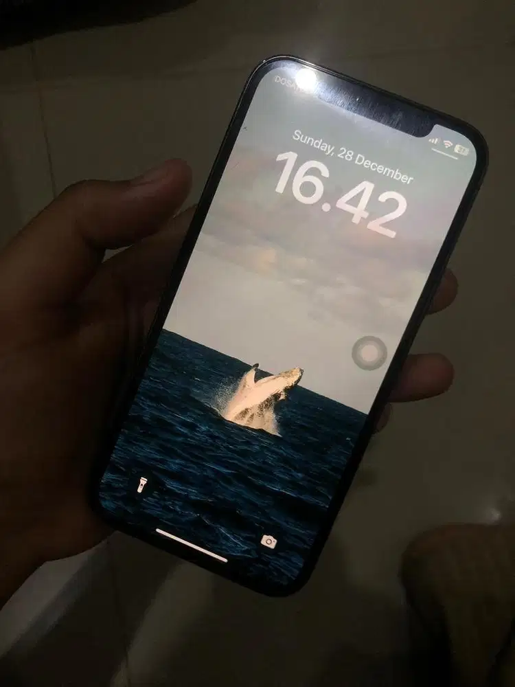 Iphone 12 Pro Ex Inter No Minus