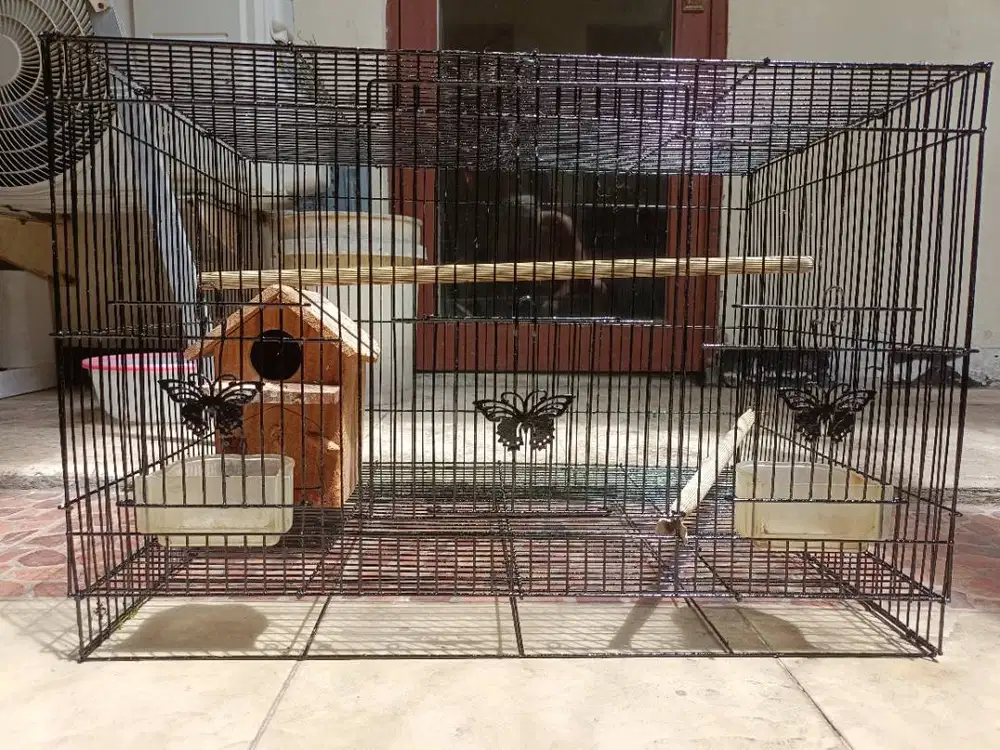 Sangkar love bird