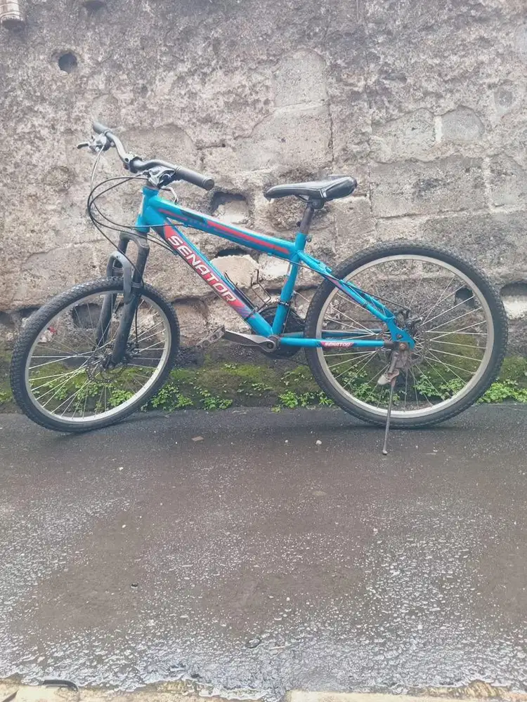 Di Jual Sepeda Ukuran 24 Inc