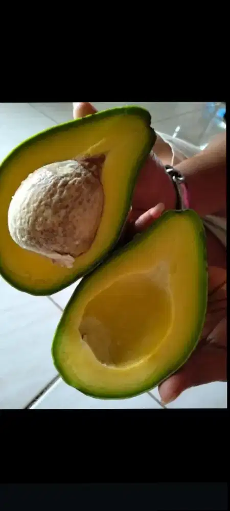 Toko Slya Party Shoop