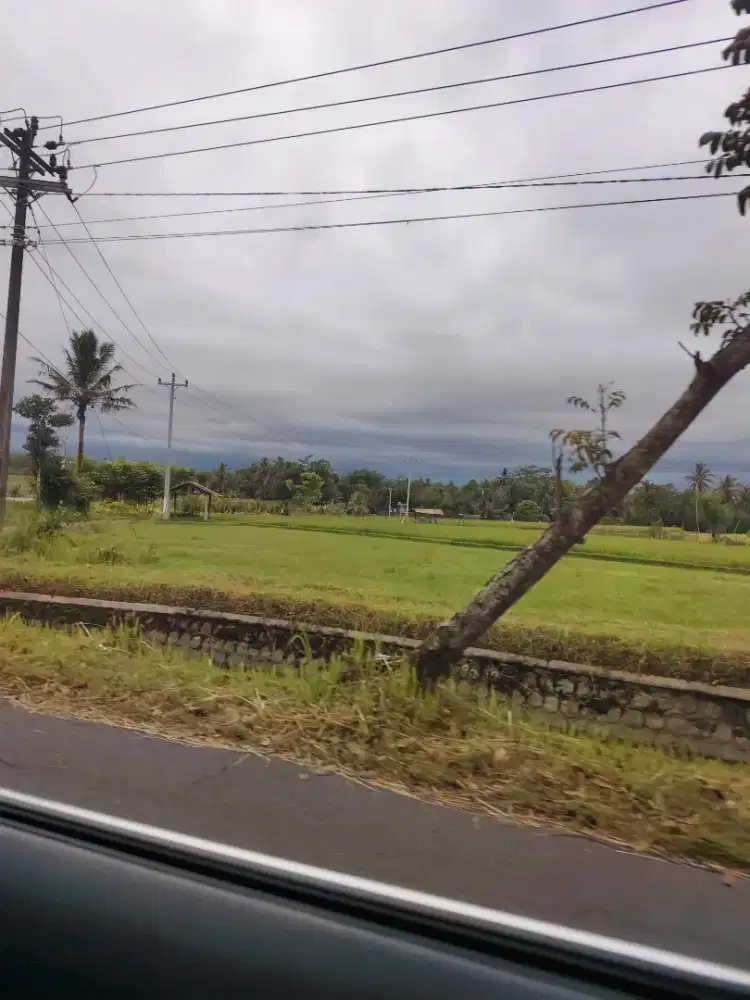 Asisten Rumah Tangga