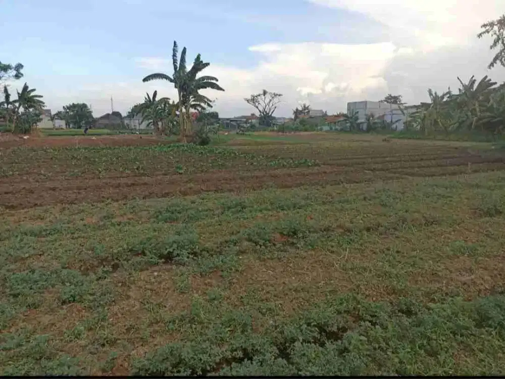 Dijual kavling cocok untuk perumahan