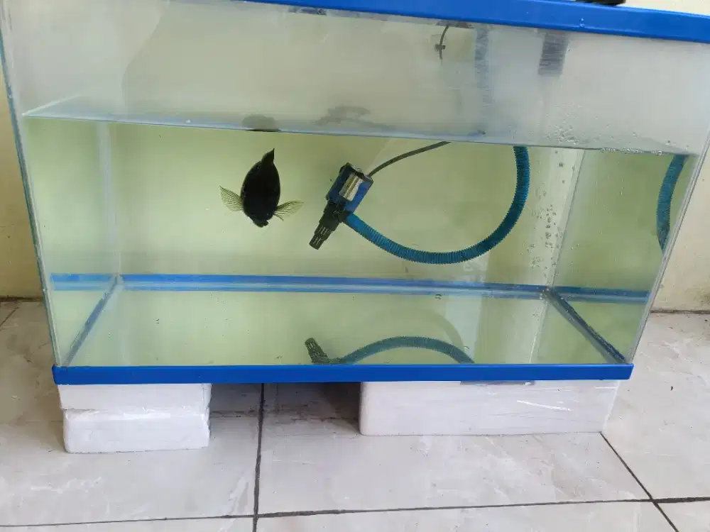 1Aquarium merk bahari + 8 aksesoris