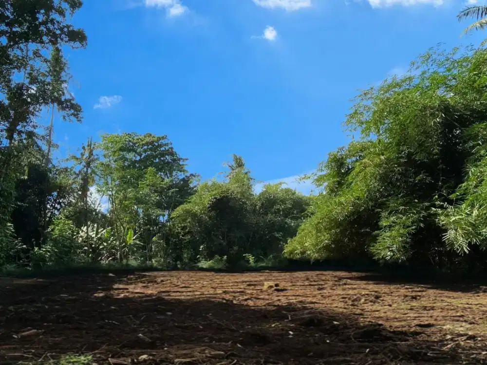 Tanah Murah Sleman Dekat Samsat & Pasar, SHM Pekarangan